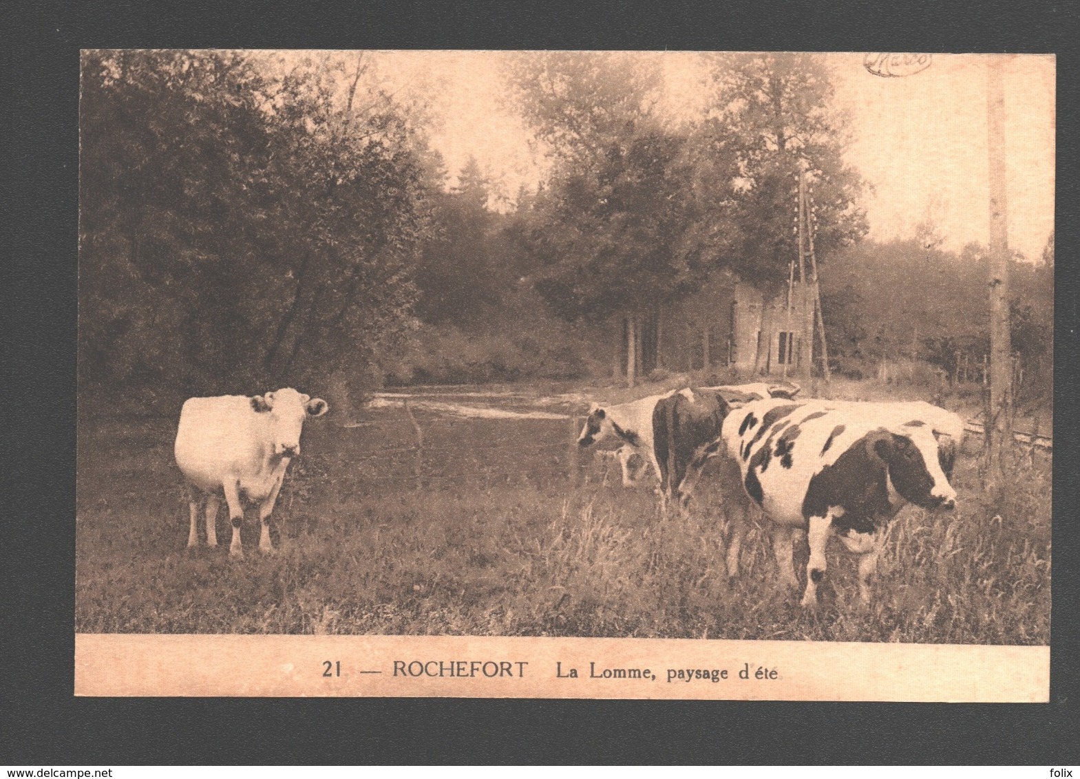 Rochefort - La Lomme, Paysage D'été - Vache / Cow / Kuh / Koe - Rochefort