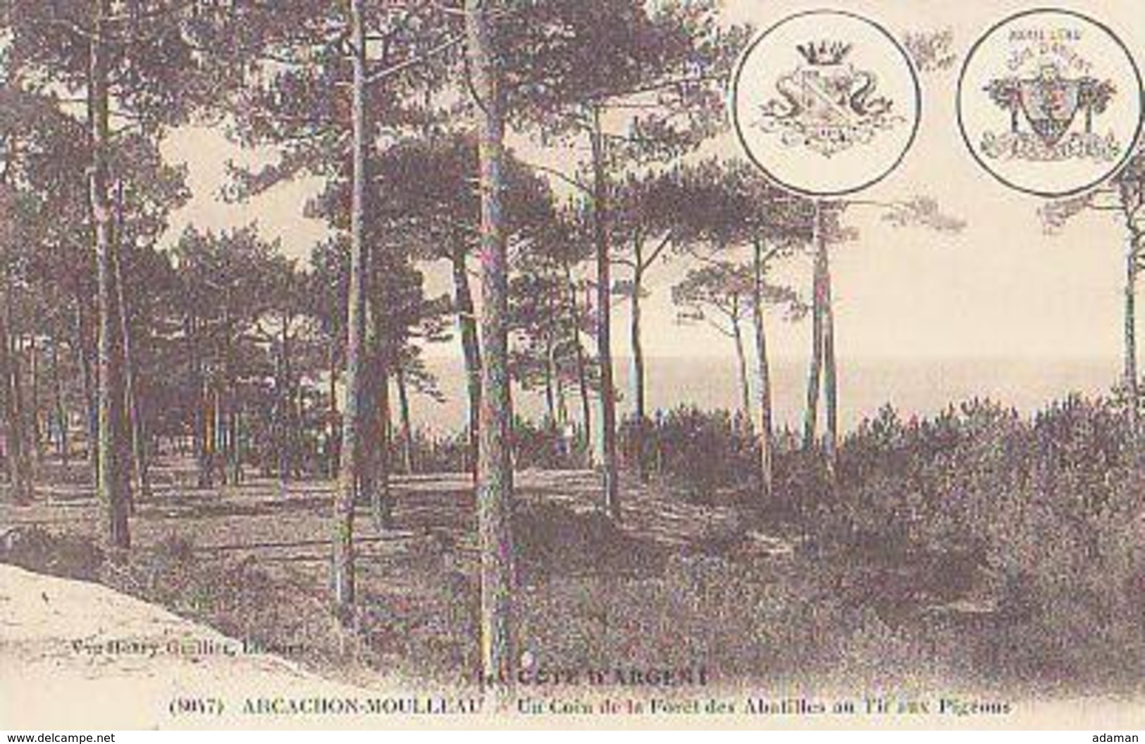 Gironde        1125        Le Moulleau.Un Coin De La Forêt Des Abatilles Au Tir Aux Pigeons - Autres & Non Classés