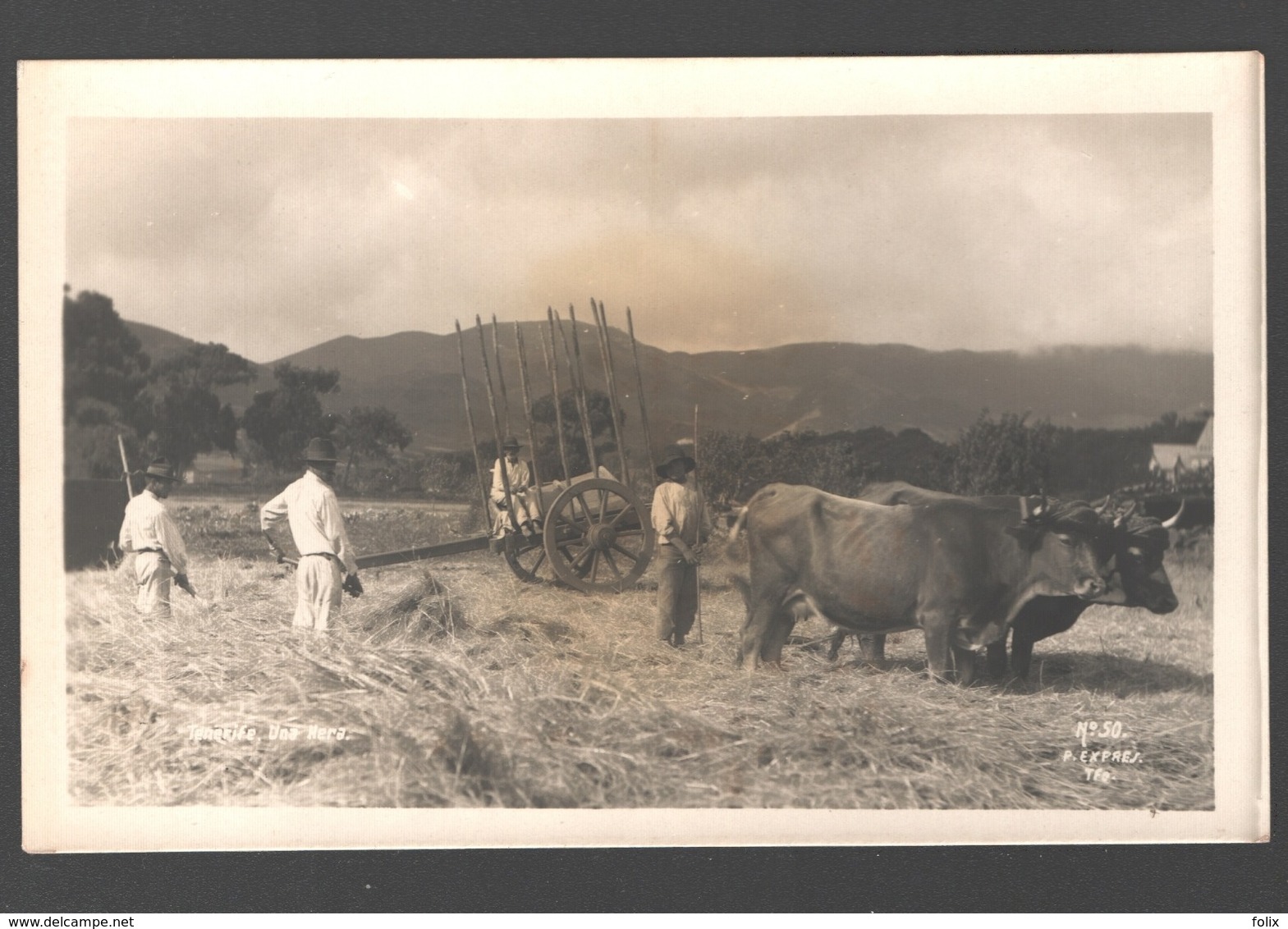 Tenerife - Una Hera - Pila De Heno / Haystack / Hooistapel - Runderen / Ganado / Cow / Vache - Photo Card - Tenerife