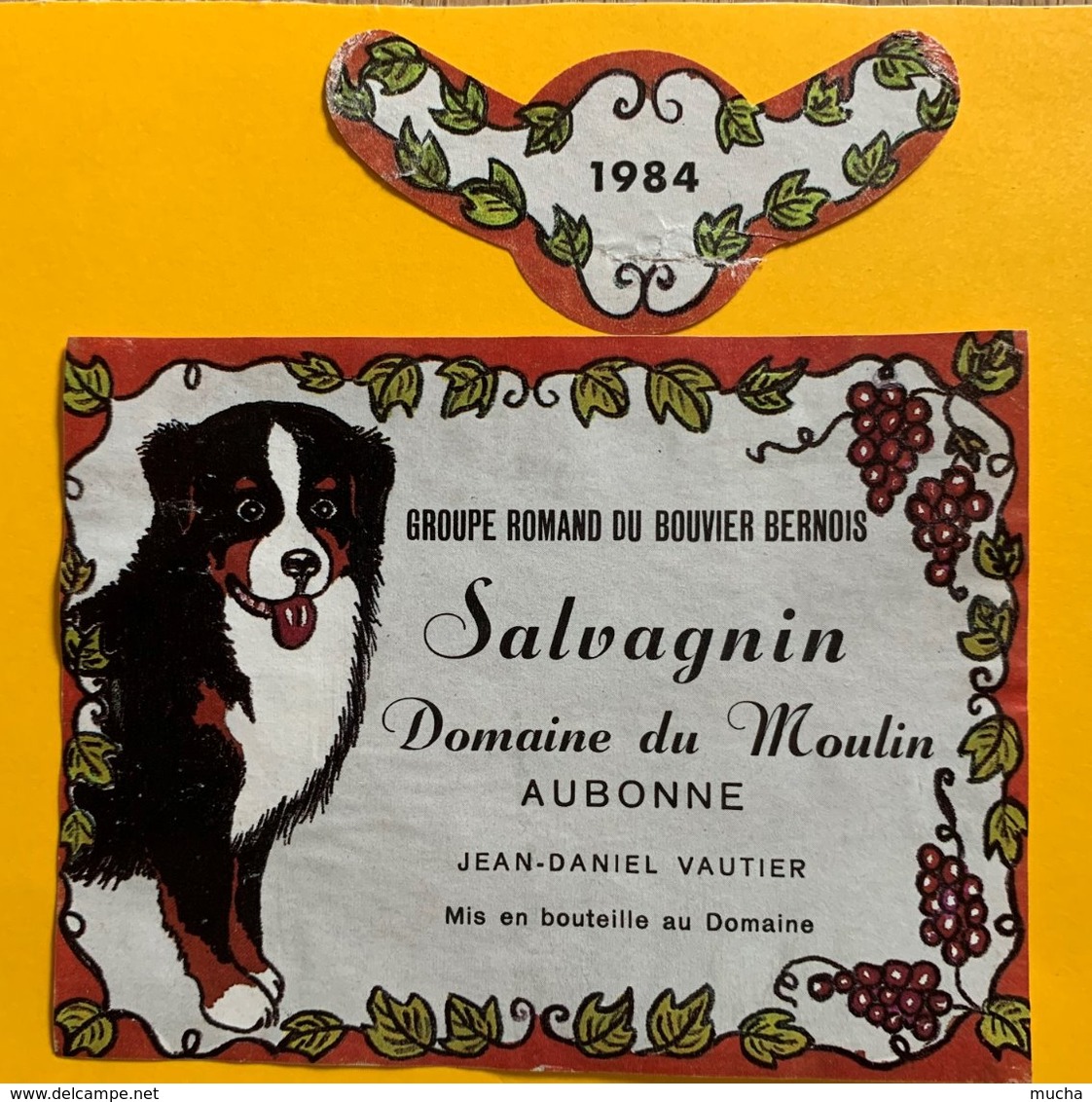 11614 -  Groupe Romand Du Bouvier Bernois Salvagnin Domaine Du Moulin 1984 Suisse - Hunde