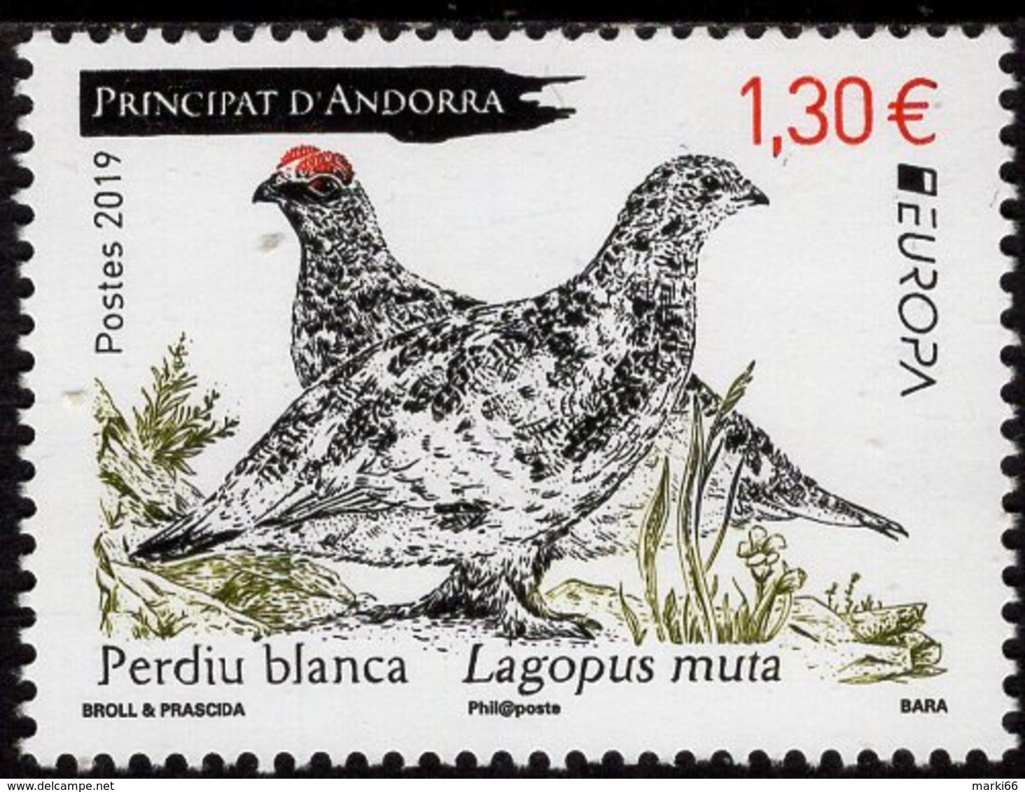 French Andorra - 2019 - Europa CEPT - National Birds - Mint Stamp - Nuevos