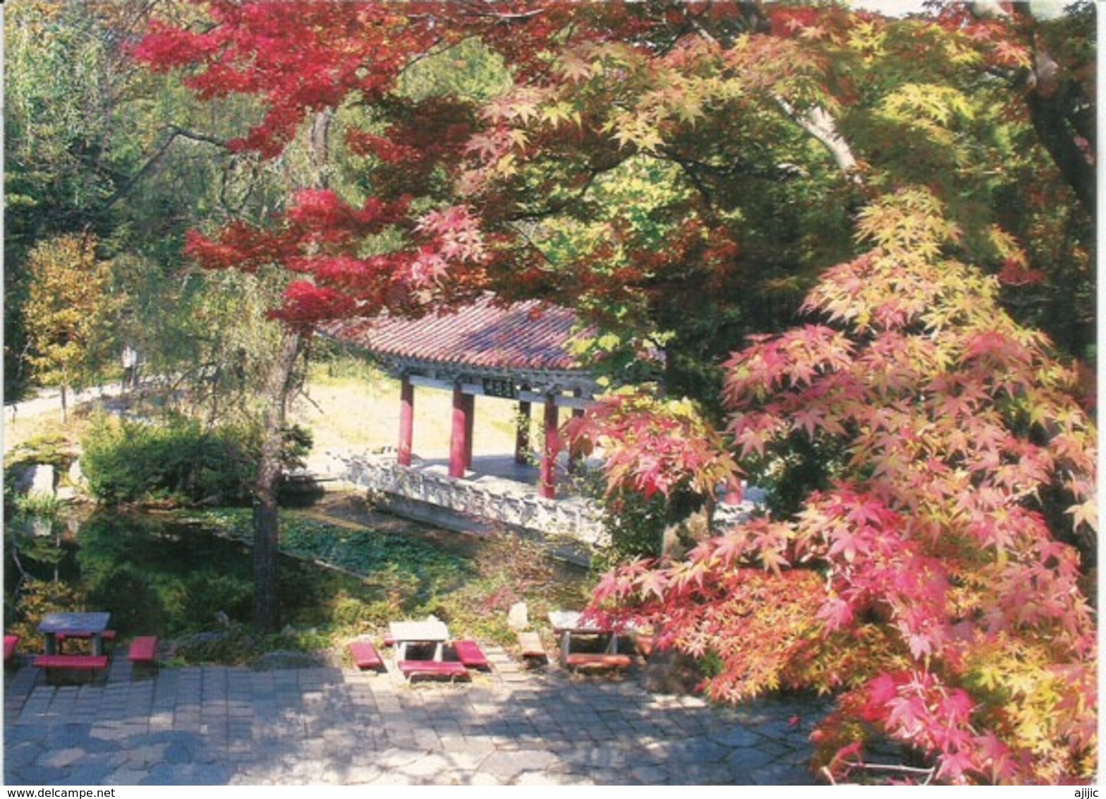 Voyage En Corée Du Nord, Carte Postale Automne Pyongyang, Postalement Circulée Vers L'Andorre,avec Timbre à Date Arrivée - Corée Du Nord