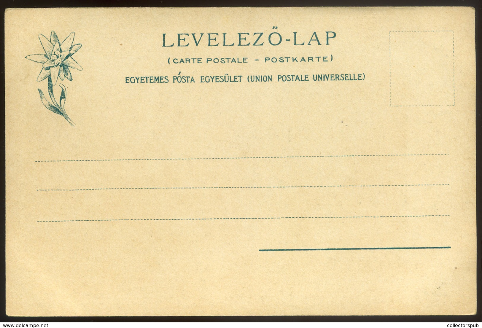 TÁTRA 1905. Poduplaszki-völgy, Régi Képeslap  /  Poduplaszki-valley Vintage Pic. P.card - Hongarije