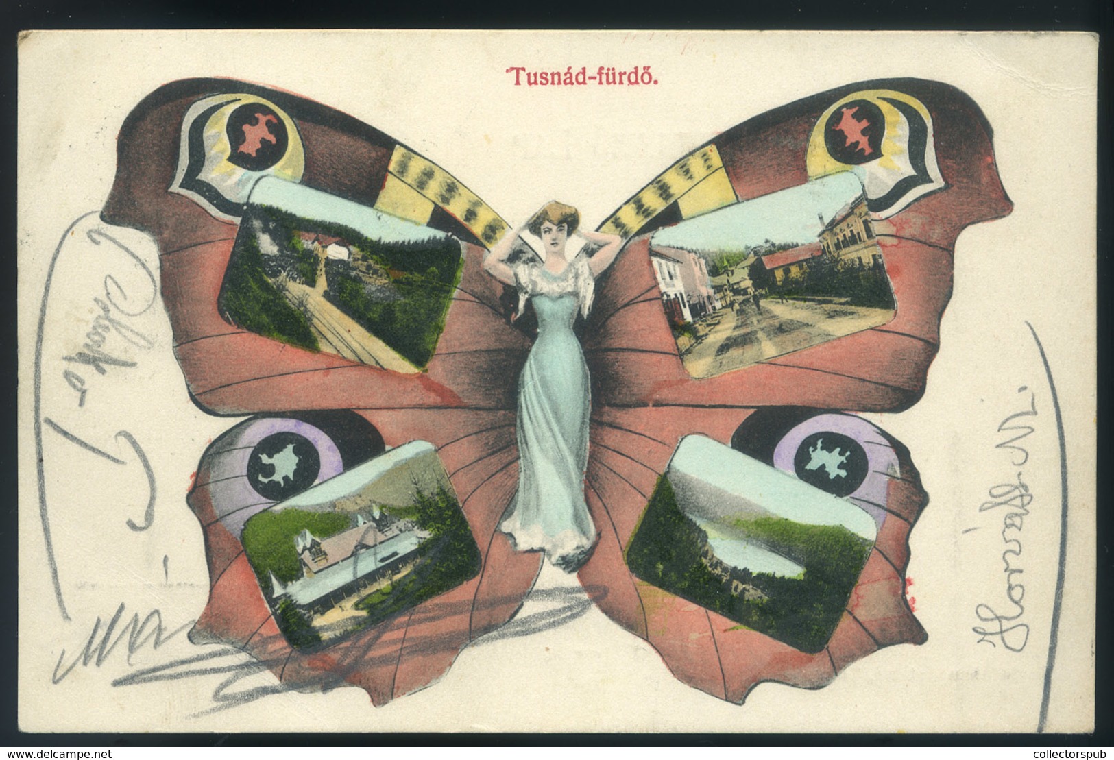 TUSNÁDFÜRDŐ 1910. Art Nouveu , Lepkés Képeslap / TUSNÁDFÜRDŐ 1910 Art Nouveau Butterfly Postcard - Hungría