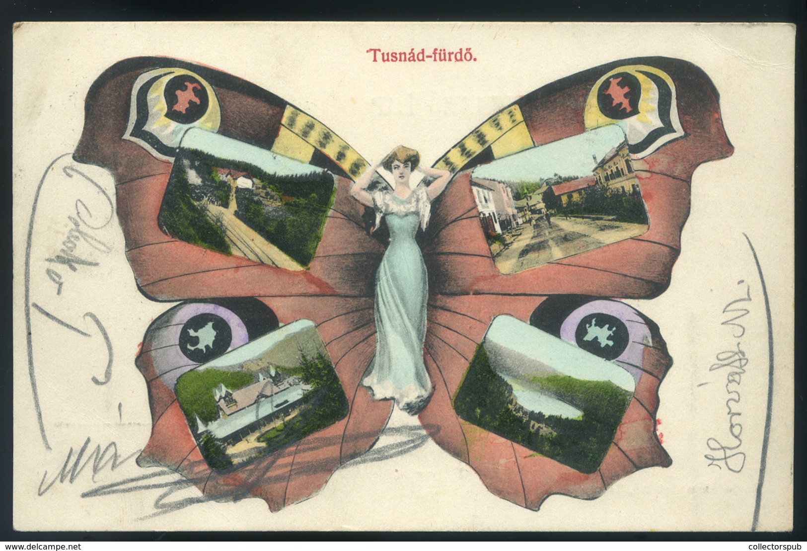 TUSNÁDFÜRDŐ 1910. Art Nouveu , Lepkés Képeslap / TUSNÁDFÜRDŐ 1910 Art Nouveau Butterfly Postcard - Hungary