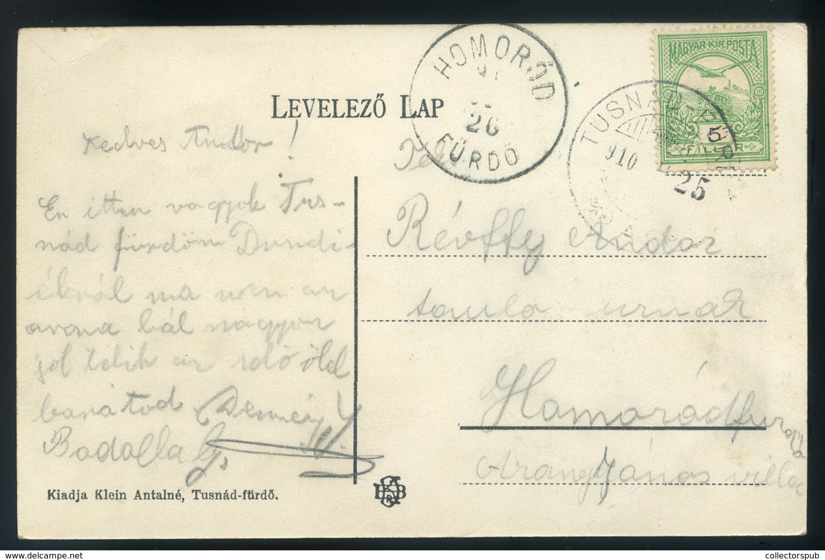 TUSNÁDFÜRDŐ 1910. Art Nouveu , Lepkés Képeslap / TUSNÁDFÜRDŐ 1910 Art Nouveau Butterfly Postcard - Hungría