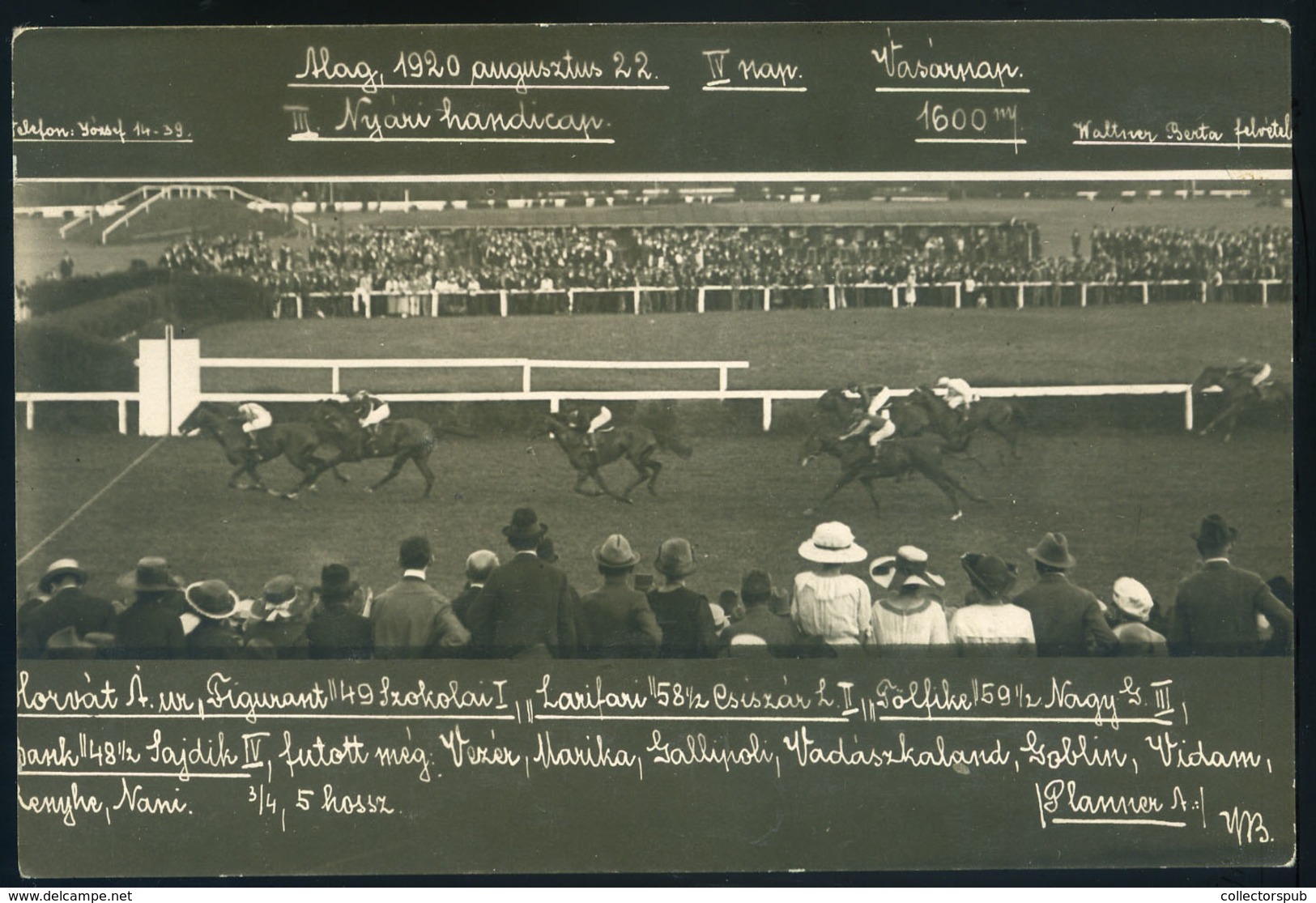 ALAG 1920. Lóverseny, Nyári Handicap, Fotós Képeslap  /  Horse Race Summer Handicap, Photo Vintage Pic. P.card - Hongarije