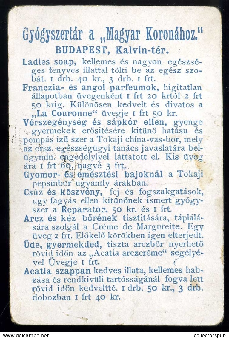 BUDAPEST 1900.ca. Gyógyszertár A Magyar Koronához , Litho Reklám Kártya - Zonder Classificatie