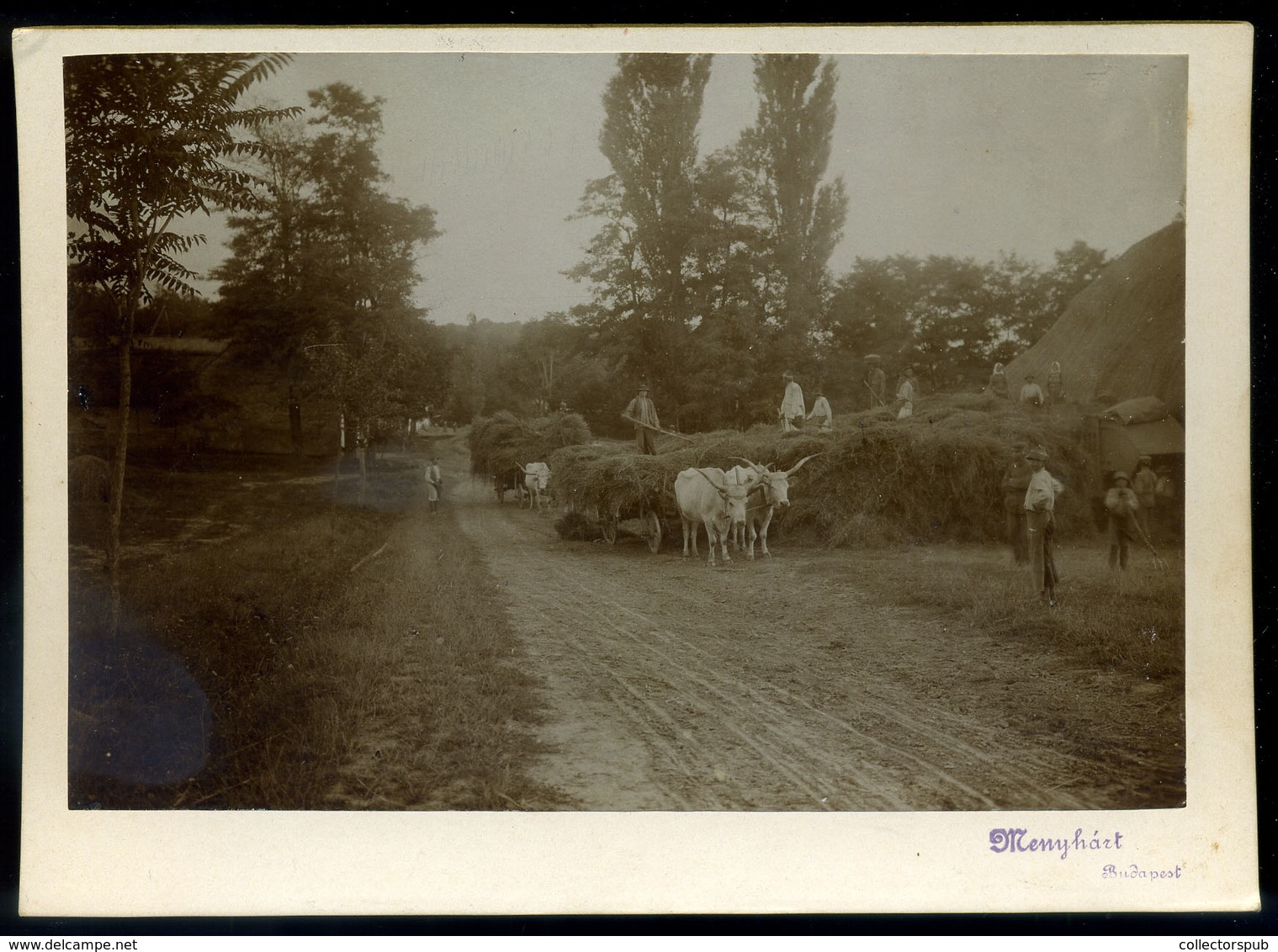 1910. Ca. " Kazlazás" érdekes Régi Fotó, Menyhárt, Budapest 18*13 Cm - Andere & Zonder Classificatie