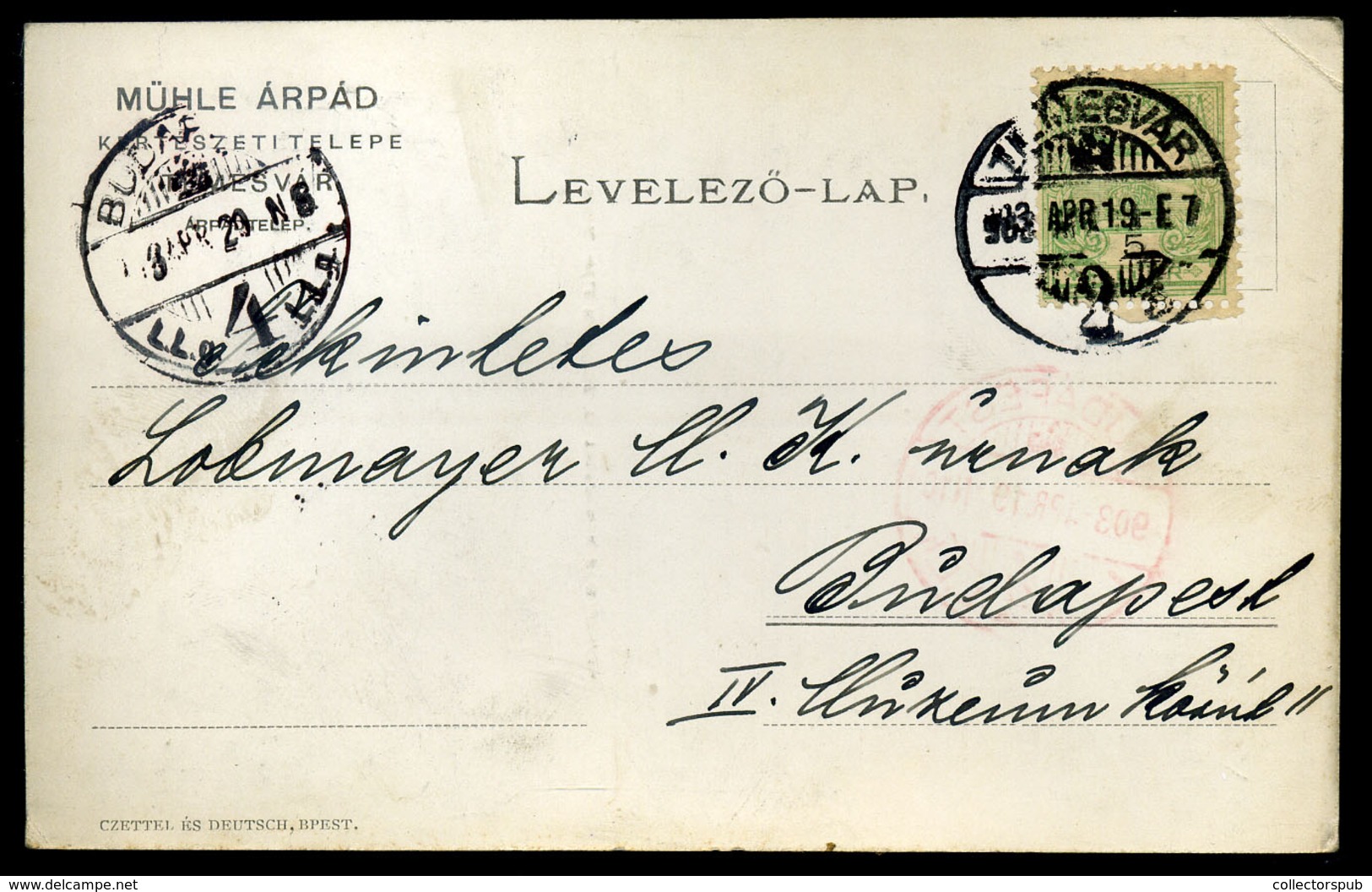 TEMESVÁR 1903. Mühle árpád Kertészeti Telep, Régi Képeslap  /  Árpád Mühle Gardening Farm Vintage Pic. P.card - Hongrie