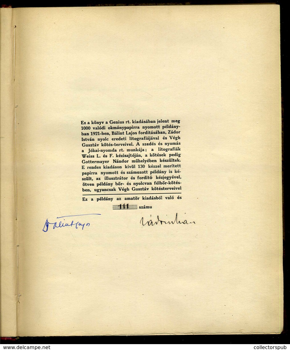 Chamisso, Adalbert Von: Schlemihl Péter Csodálatos Története.Bp., 1921. Genius. 107p.+8t. (Zádor István Felragasztott Kő - Unclassified