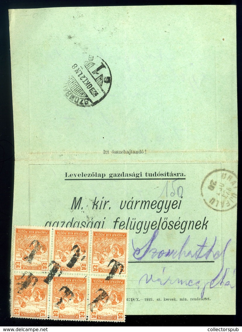 URAIUJFALU 1923. Hivatalos Levlap, Dekoratív Szükség Portóbélyeges Portózással - Storia Postale