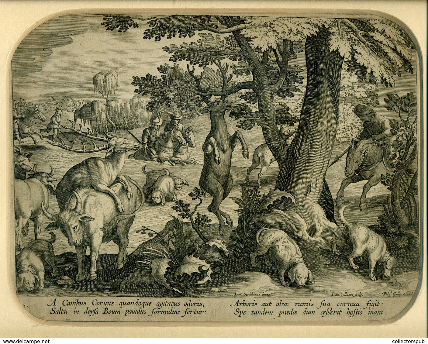 VADÁSZJELENET  érdekes Rézmetszet XVII Sz. C. Galle, Képméret  27*21 Cm , Paszpartuban  /  HUNTING SCENE Intr. Copper Et - Prints & Engravings