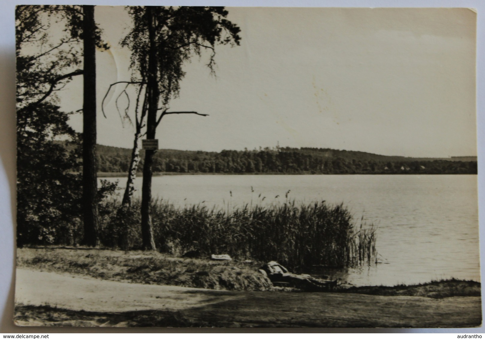 CPSM Allemagne Zesch Am See Kr. Zossen Gasthof Reichert - Zossen