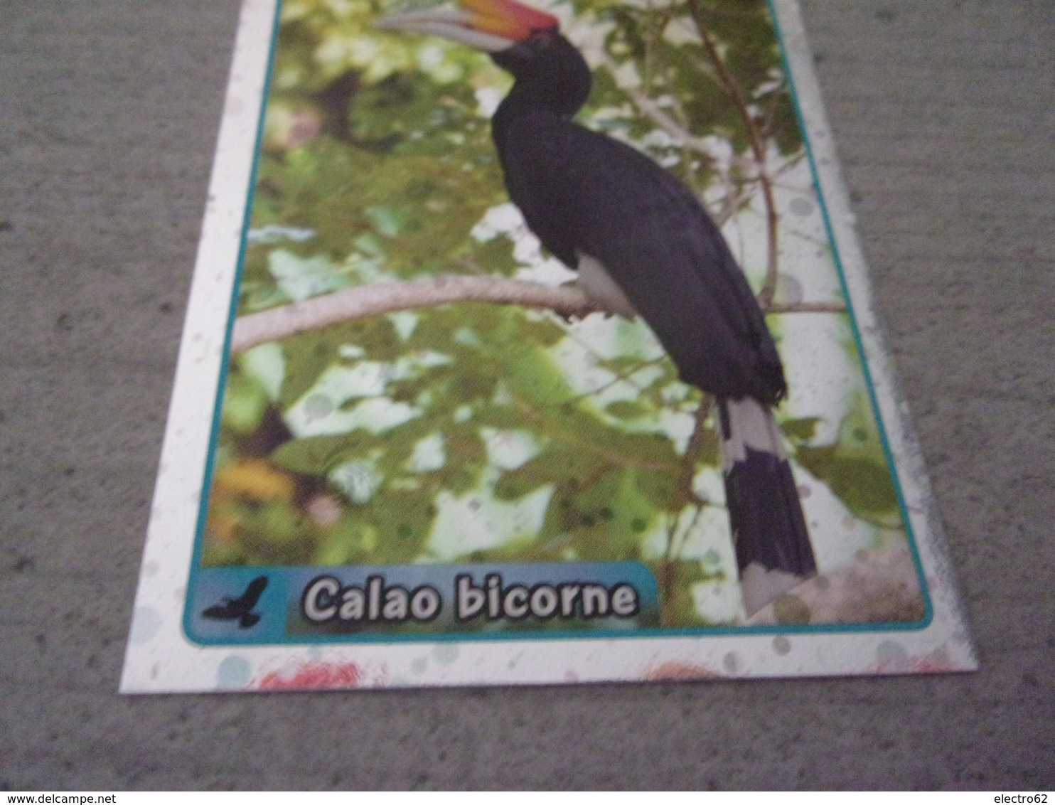 PANINI ANIMAL WORLD Animaux N°265 Calao Bicorne Great Hornbill - Edition Française