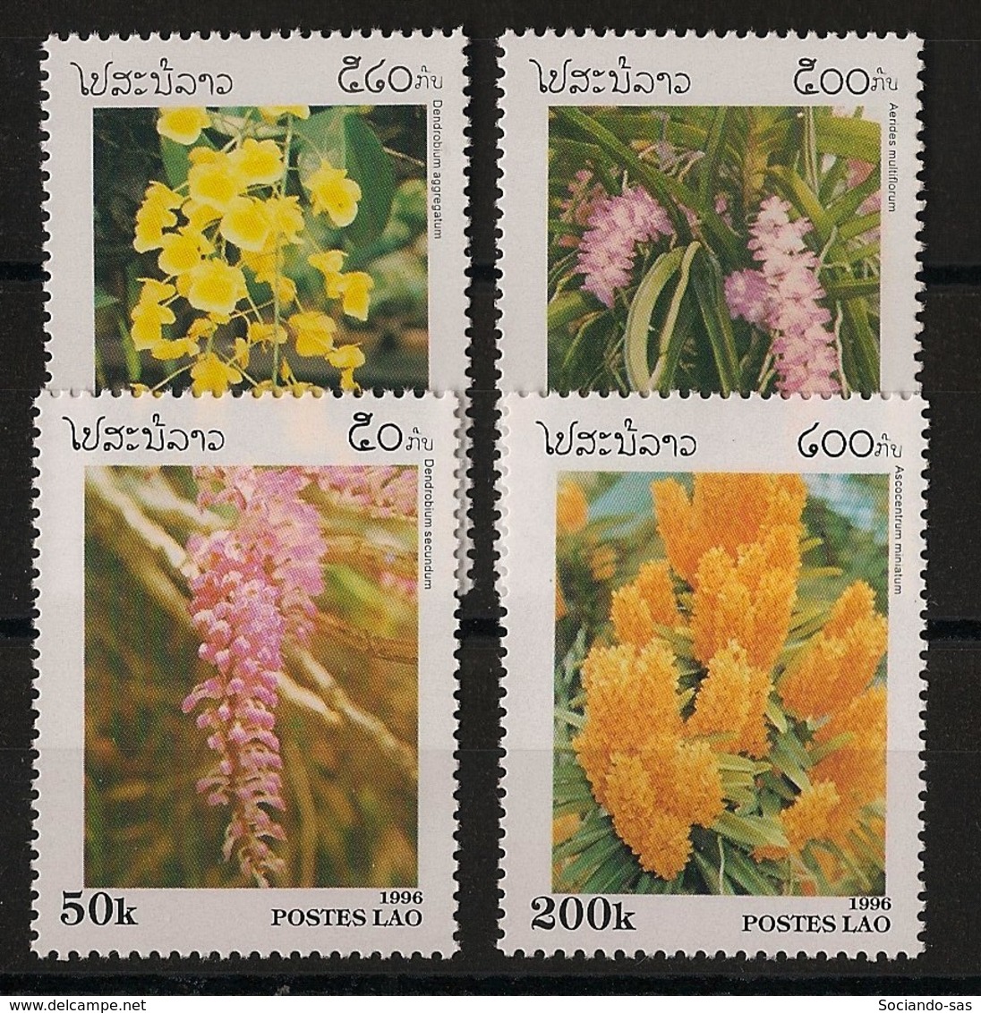 Laos - 1996 - N°Yv. 1233 à 1236 - Fleurs / Orchidées - Neuf Luxe ** / MNH / Postfrisch - Laos