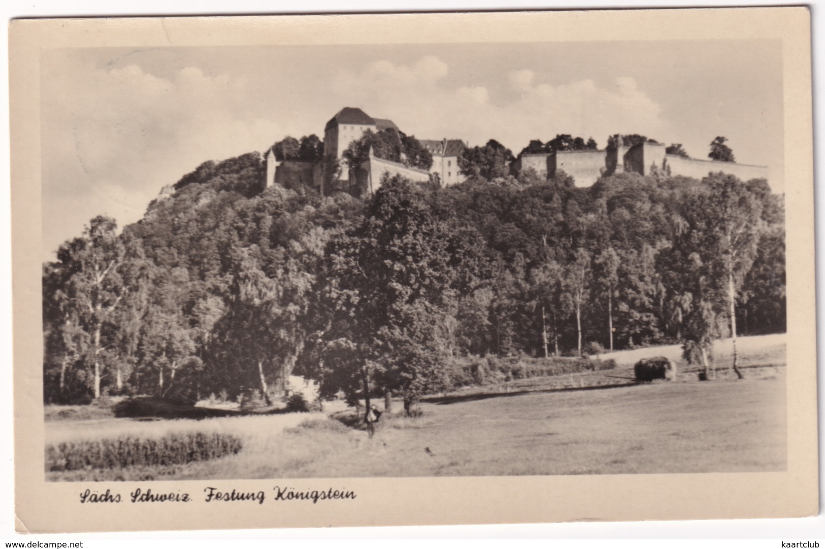 Sachs. Schweiz.  Festung Königstein - (1956) - Koenigstein (Saechs. Schw.)