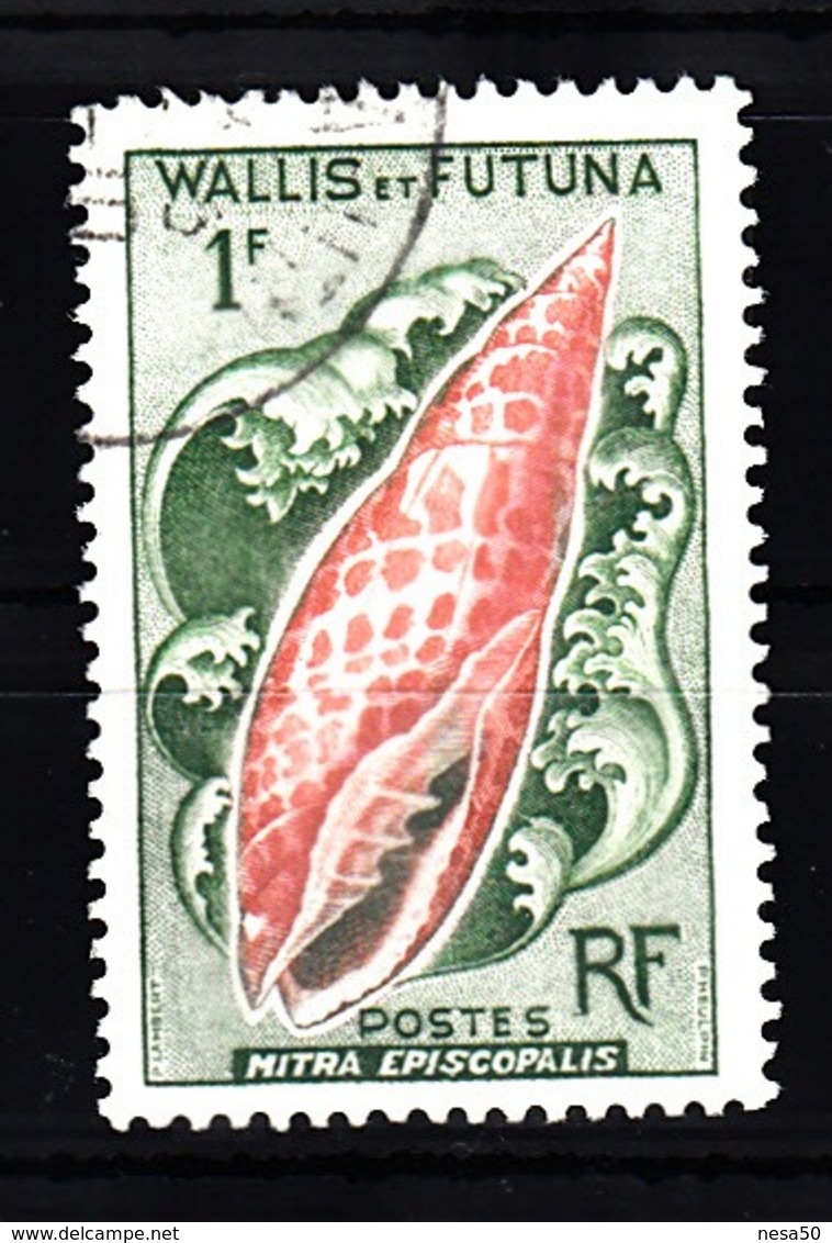 Wallis En Futuna 1962 Mi Nr  194   Shell - Usati