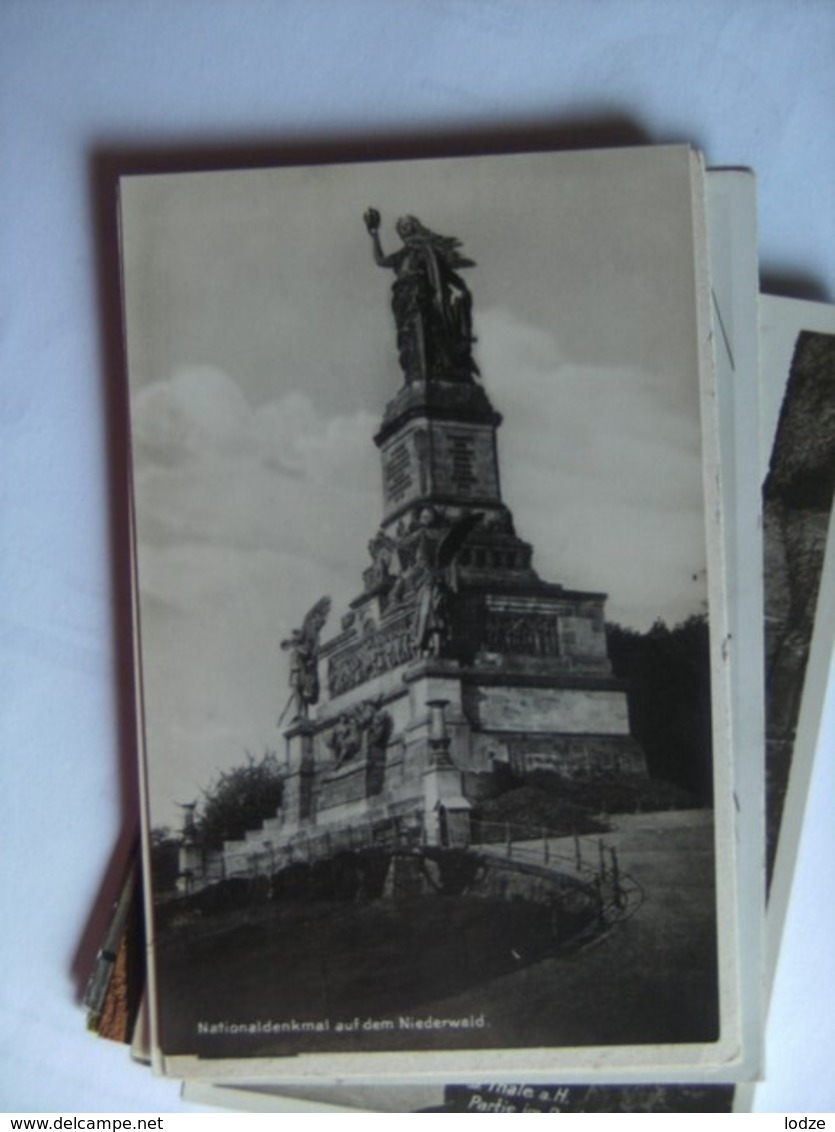 Duitsland Deutschland Hessen Rüdesheim Nationaldenkmal Photokarte - Ruedesheim A. Rh.