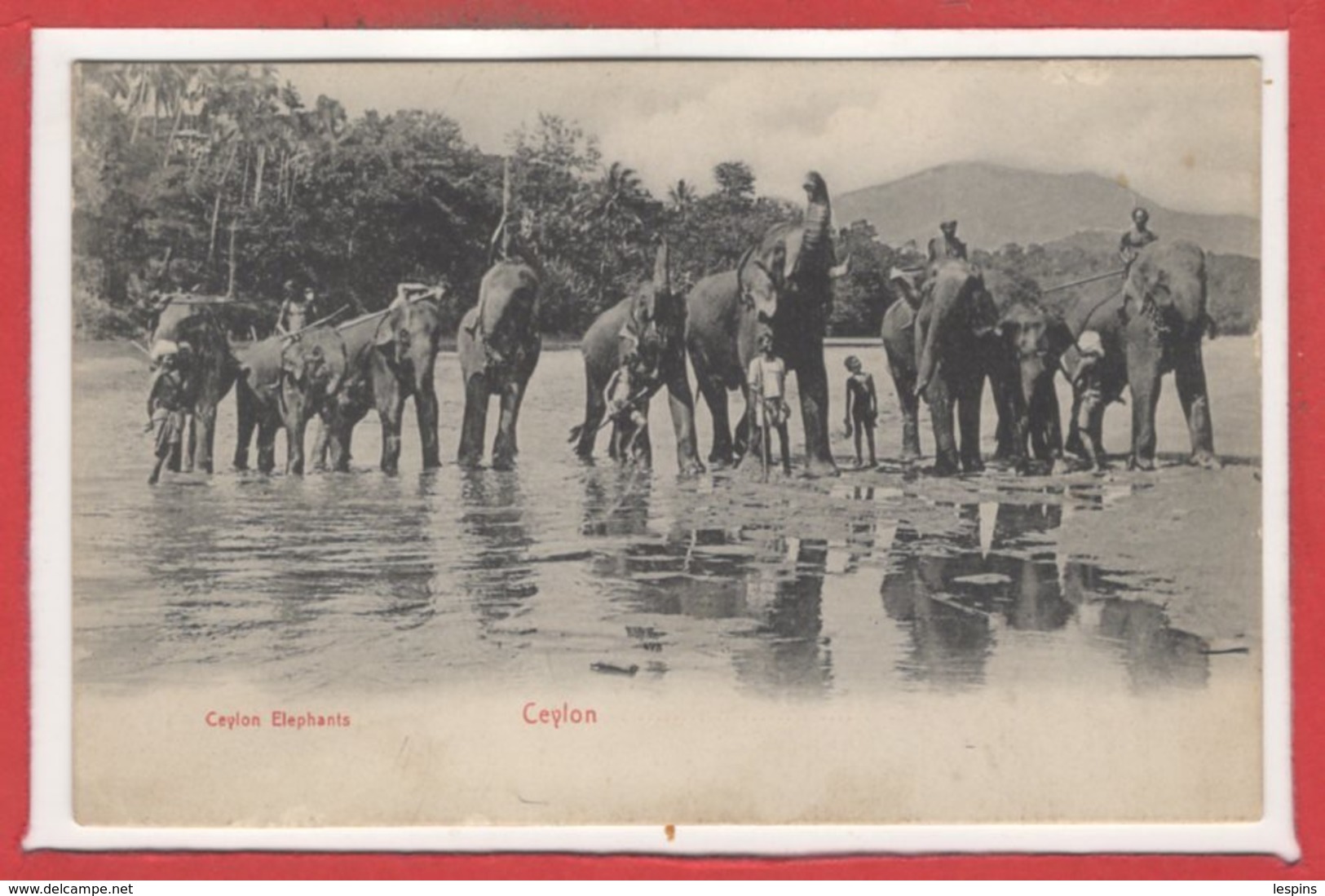 ASIE - SRI LANKA ( CEYLON -- Elephants - Sri Lanka (Ceilán)