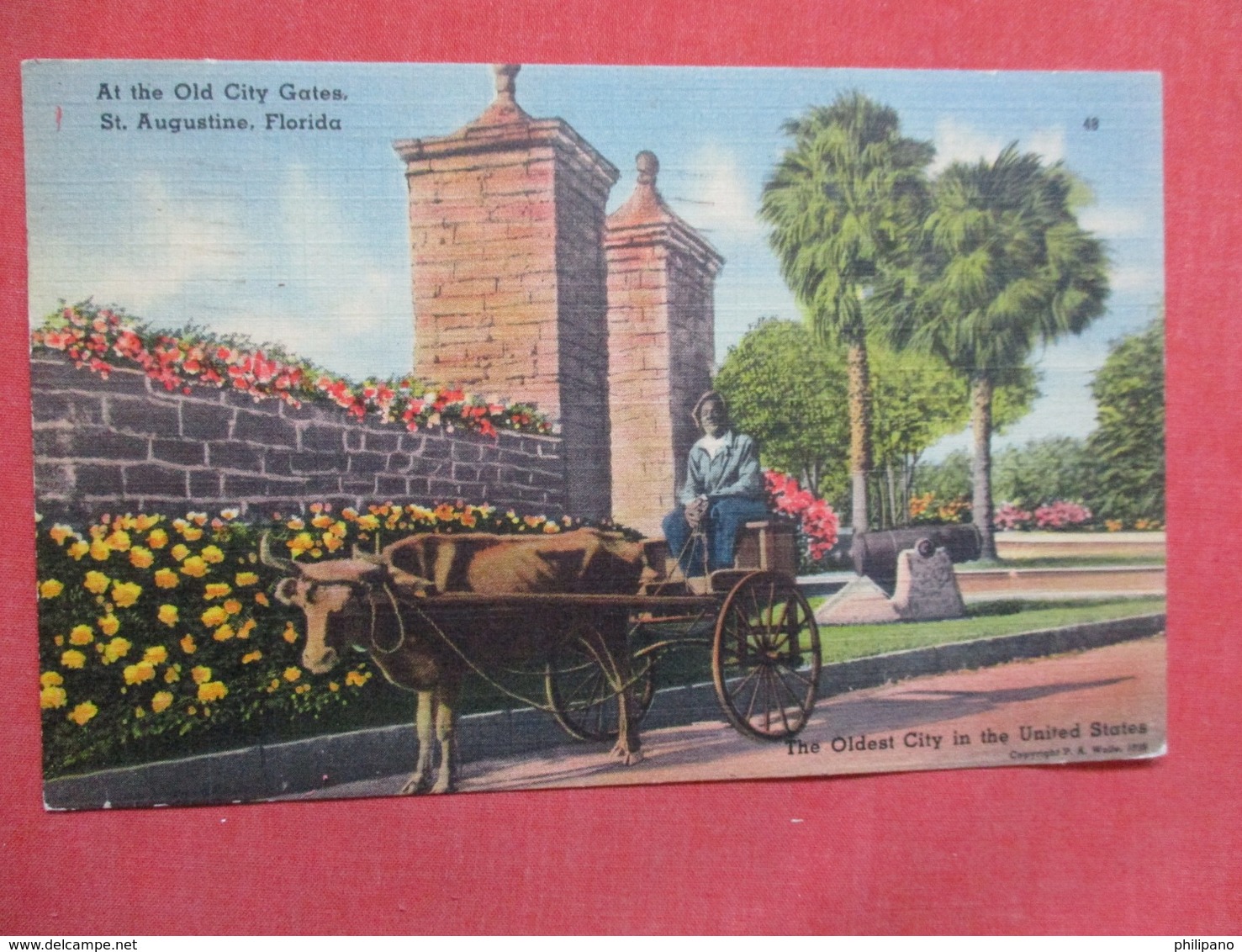 Black Americana   Old City Gates St Augustine Black Man Ox Cart   Ref    3594 - Black Americana