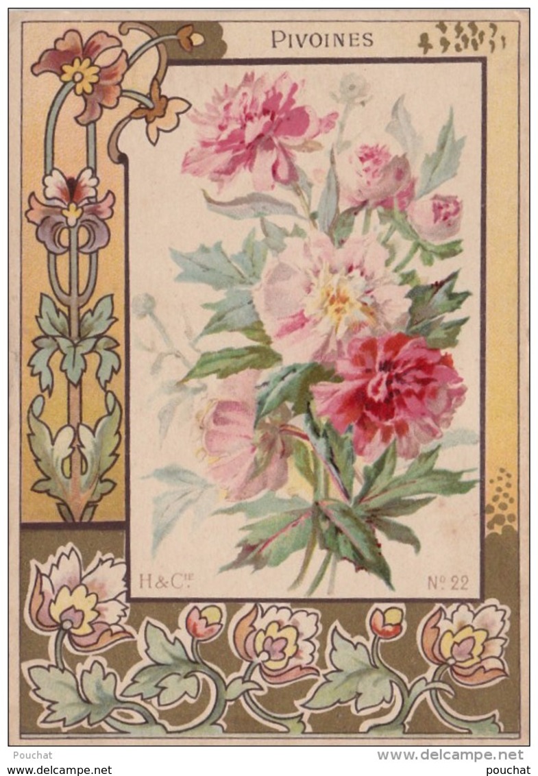 A39-  CHROMO - IMAGE - H &amp; Cie - N°22  PIVOINES  - (ART NOUVEAU - 2 SCANS) - Other & Unclassified