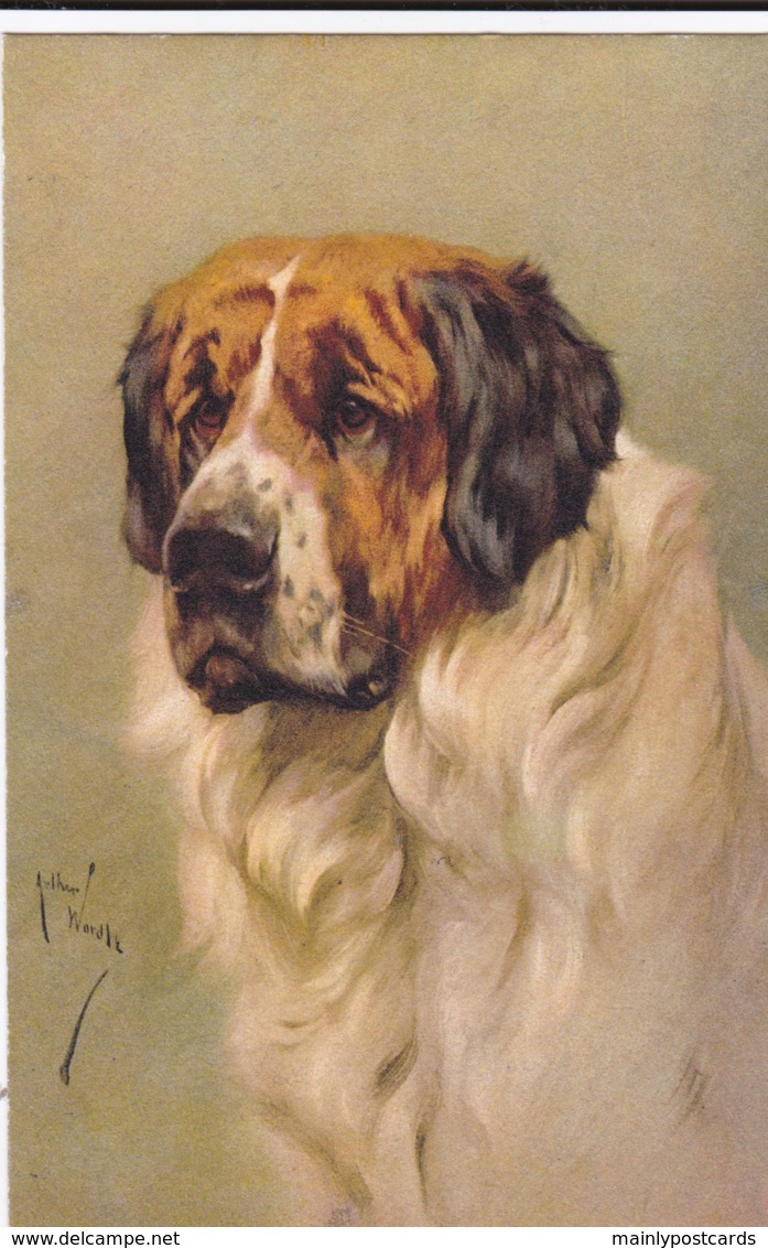 AS90 Animals - Dog - St. Bernard - Artist Signed Arthur Wardle - Chiens