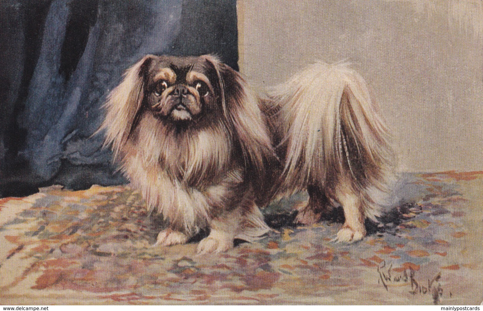AS90 Animals - Dogs - Pekingese - Artist Signed Richard ? - Hunde