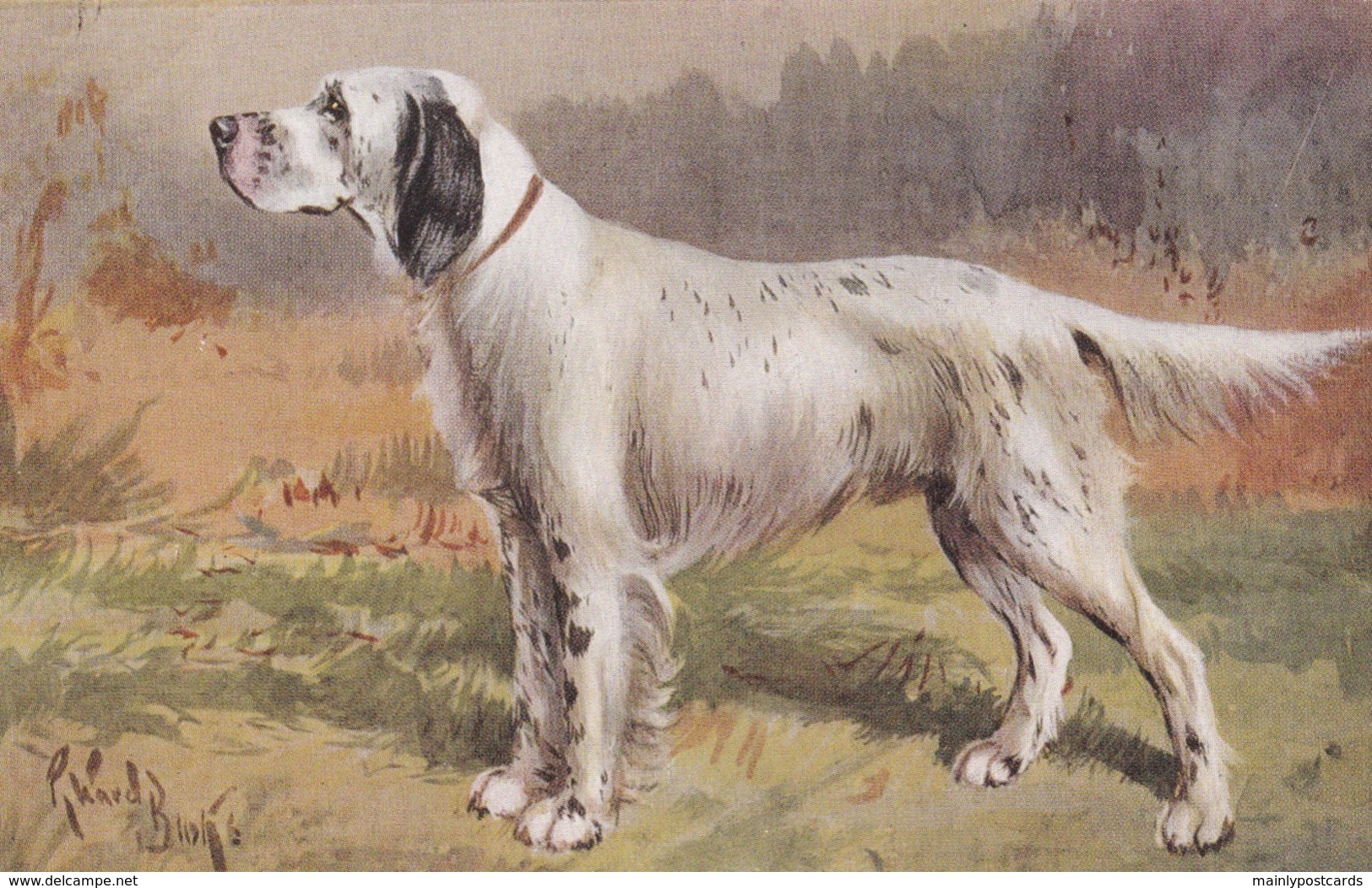 AS90 Animals - Dogs - English Setter - Artist Signed - Dogs