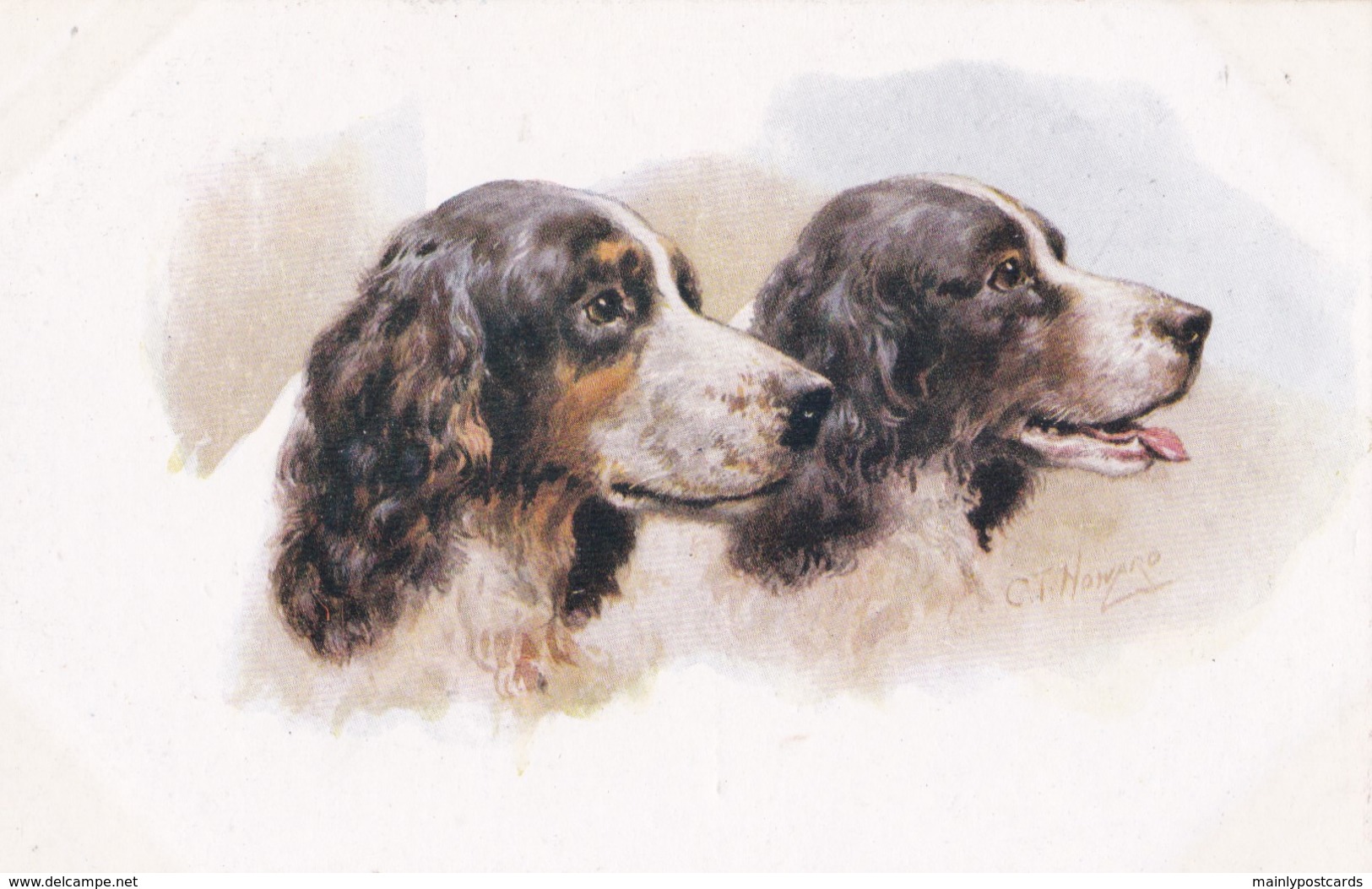 AS90 Animals - Dogs - Spaniels - Artist Signed CT Howard - Dogs