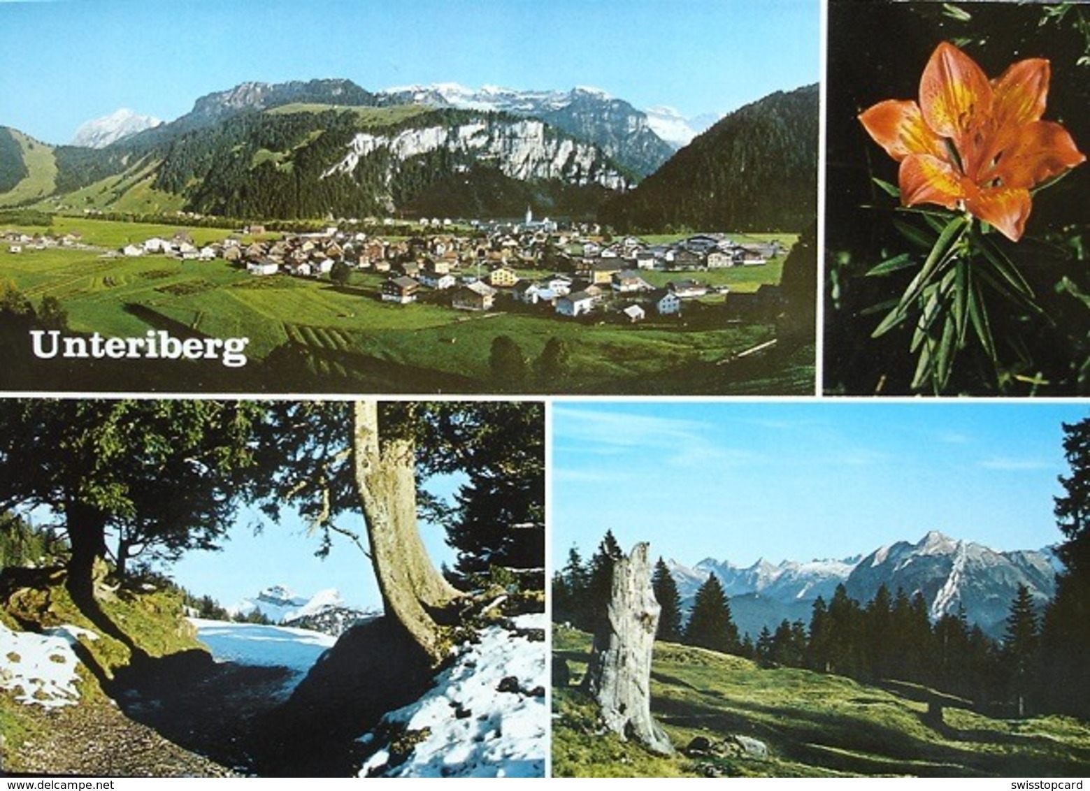 UNTERIBERG - Unteriberg