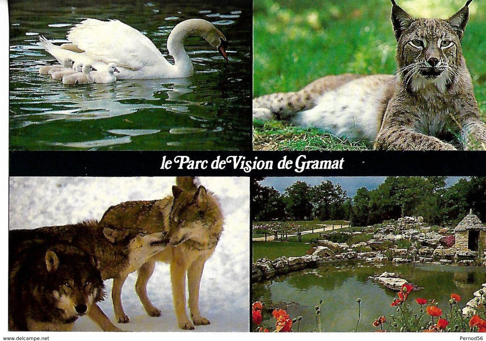 CPSM  Parc Animalier De GRAMAT  Multi Vues - Autres & Non Classés