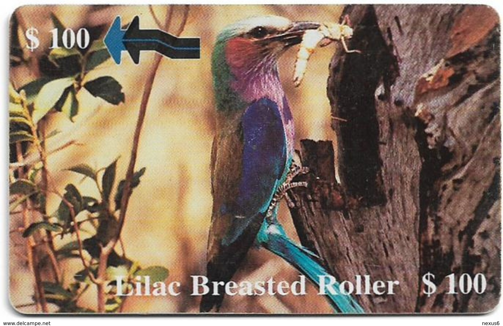 Zimbabwe - PTC - Lilac Breasted Roller Bird - 100Z$, Exp. 12.2000, 30.000ex, Used - Simbabwe