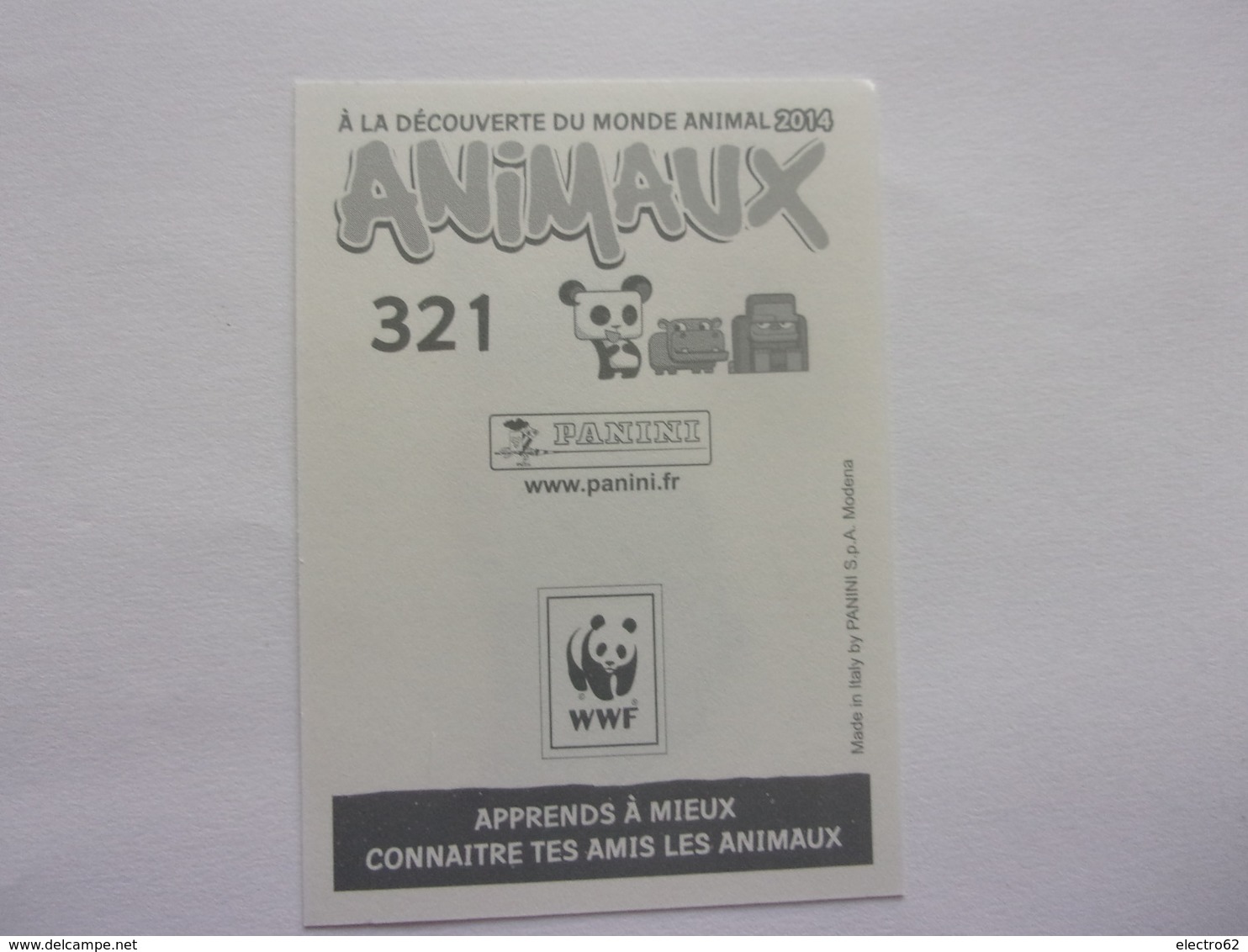 PANINI ANIMAL WORLD Animaux N°321 Chat Cat Katze Gato Chat Abyssin - Edition Française