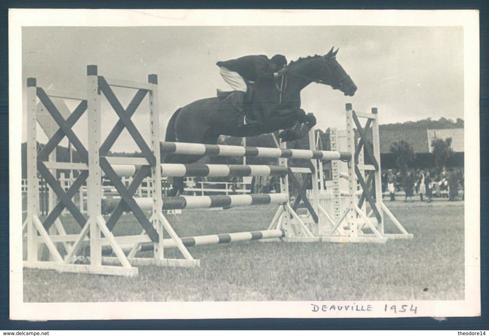 Hippisme DEAUVILLE 1954 Edelweis - Horse Show