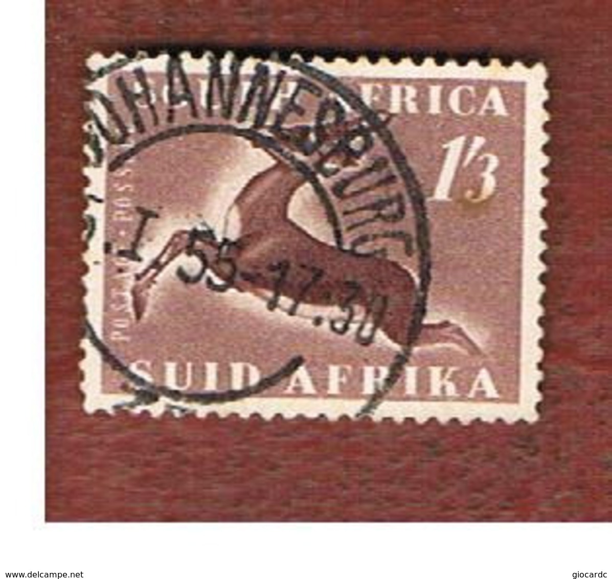 SUD AFRICA (SOUTH AFRICA) - SG 147  -  1953 ANIMALS: SPRINGBOK  - USED ° - Other & Unclassified