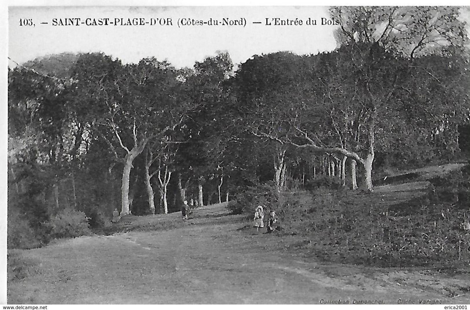 Saint Cast Plage D'Or. L'entrée Du Bois . - Sonstige & Ohne Zuordnung