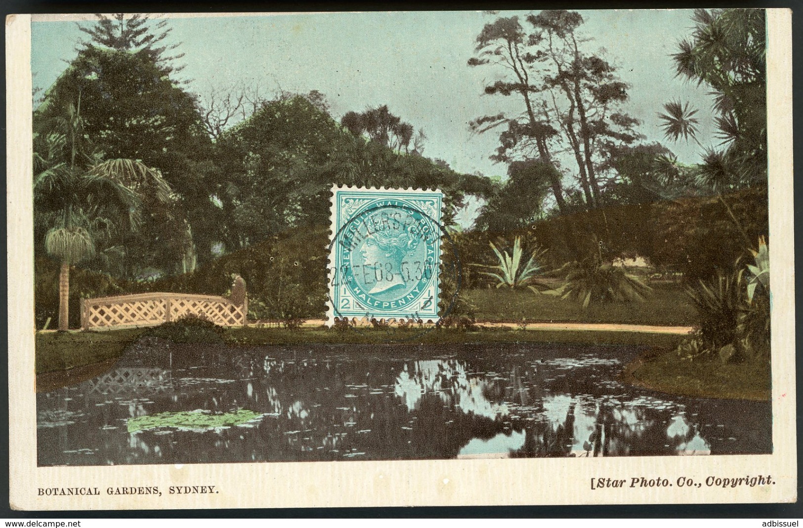 AUSTRALIA BOTANICA GARDENS SYDNEY. Edition Star Photo Co. Copyright / Cancellation "Miller's Point 22/Feb/1908" - Sydney