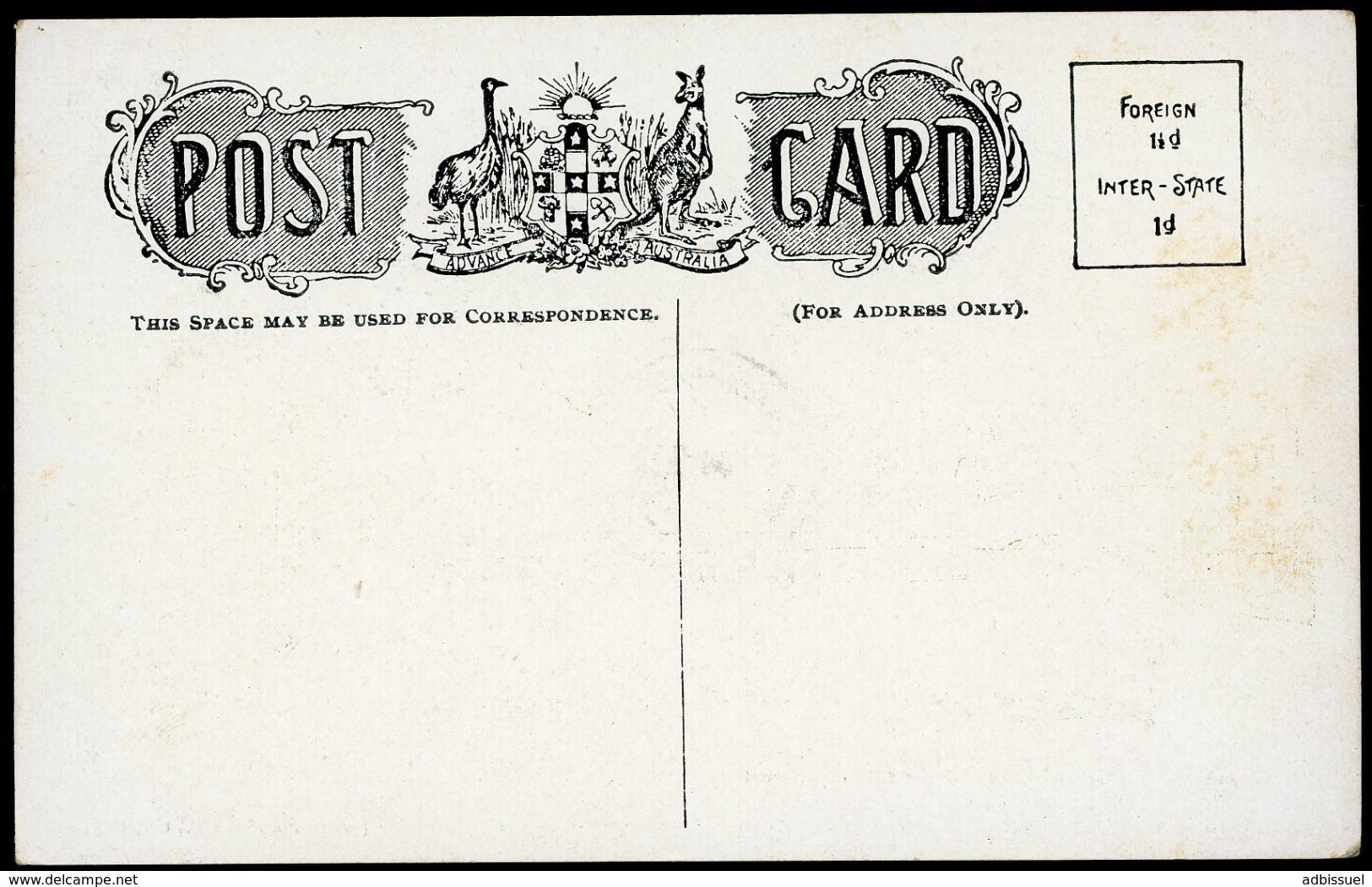 AUSTRALIA BOTANICA GARDENS SYDNEY. Edition Star Photo Co. Copyright / Cancellation "Miller's Point 22/Feb/1908" - Sydney