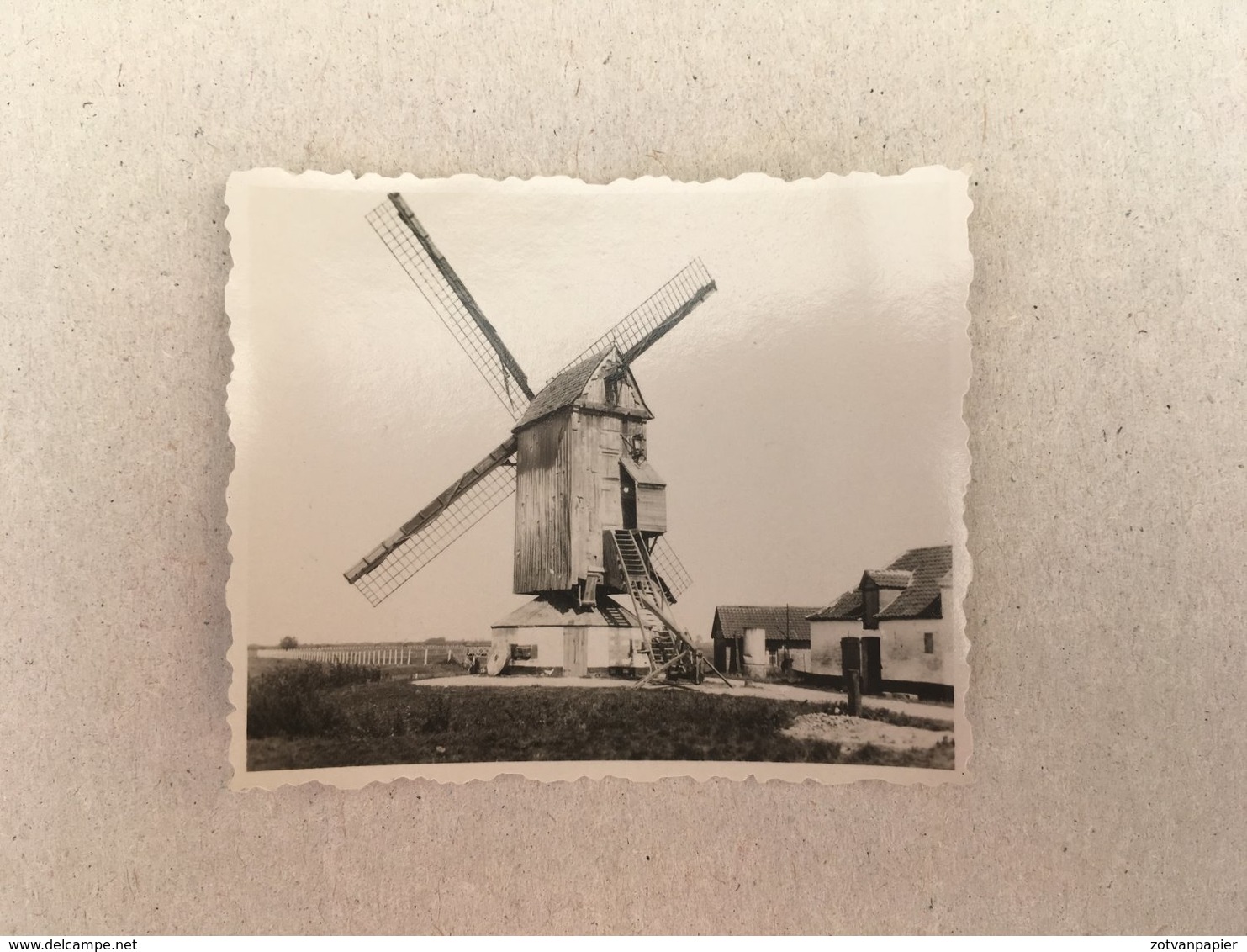 POLLINKHOVE - Molen - Moulin - Elzendammemolen - Originele Foto - Lo-Reninge