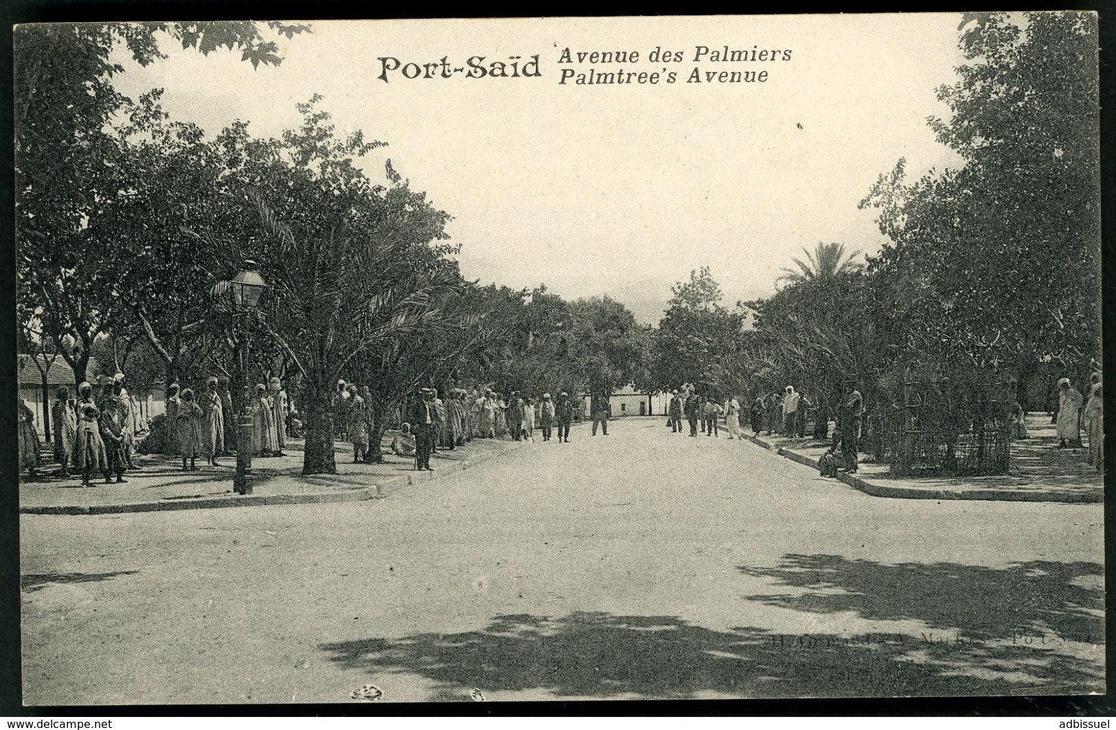 PORT SAID / AVENUE DES PALMIERS / PALMTREE'S AVENUE - Port Said