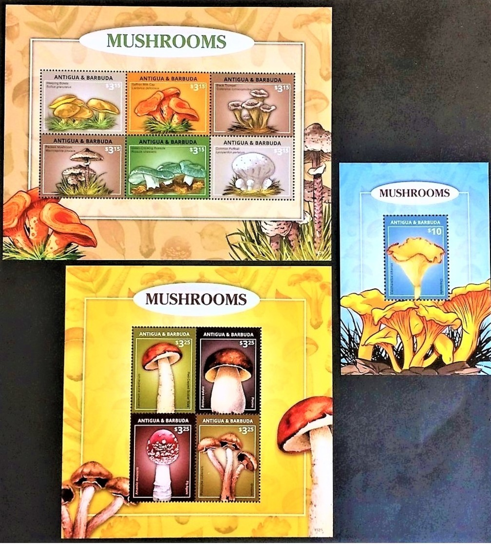 # Antigua & Barbuda 2015**Mi.5349-59 Mushrooms , MNH [1;26,25] - Mushrooms