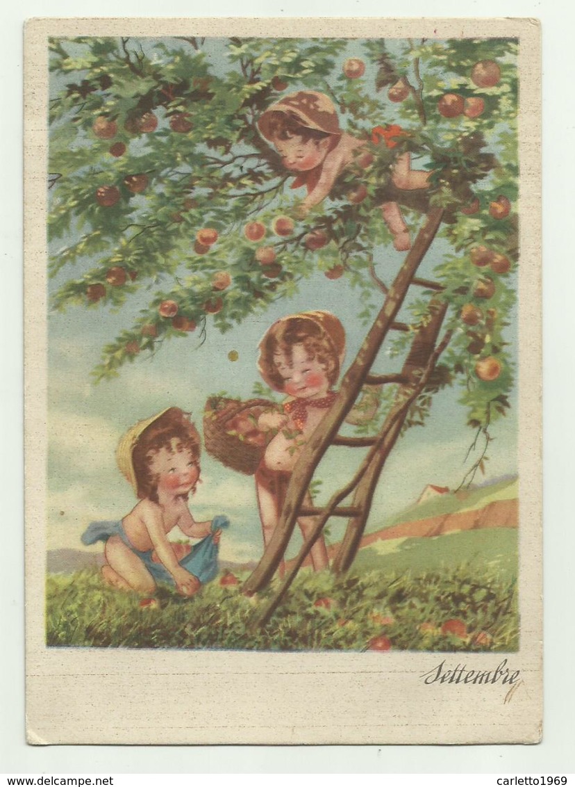 SETTEMBRE  BAMBINI -  RACCOLTA  FRUTTA VIAGGIATA FG - 1900-1949