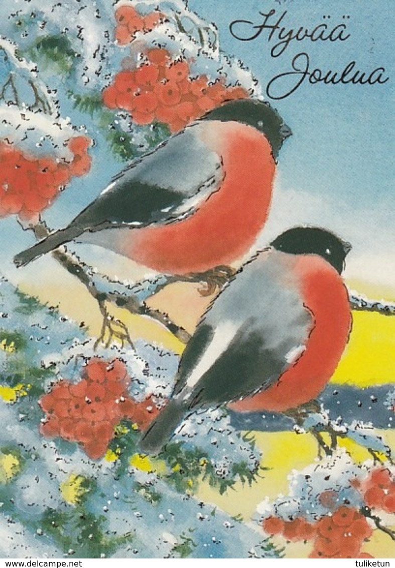 Bird - Birds - Oiseau - Vogel - Uccello - Pássaro - Bullfinches In Winter Landscape - Other & Unclassified