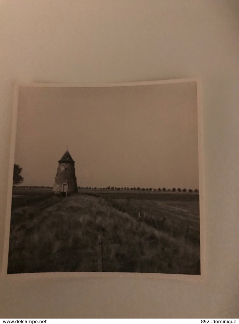 De Moeren (Veurne)   - Foto - Sint Gustaafmolen Mill Molen Mühle Moulin - Lieux