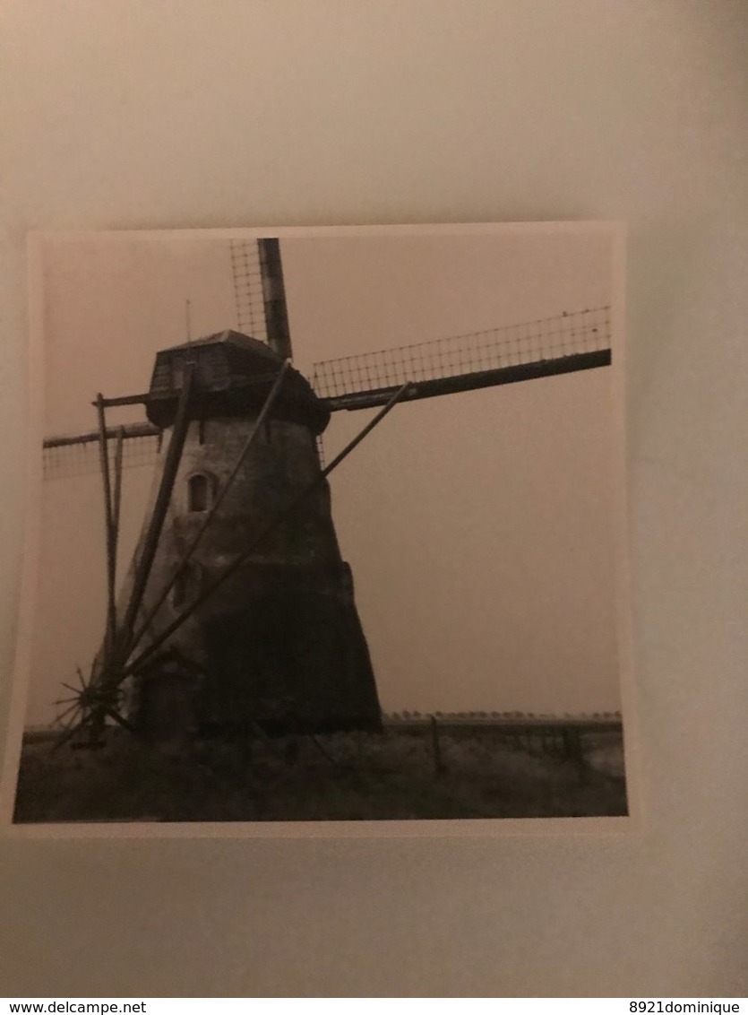 De Moeren (Veurne)   - Foto -  Mill Molen Mühle Moulin - Lieux