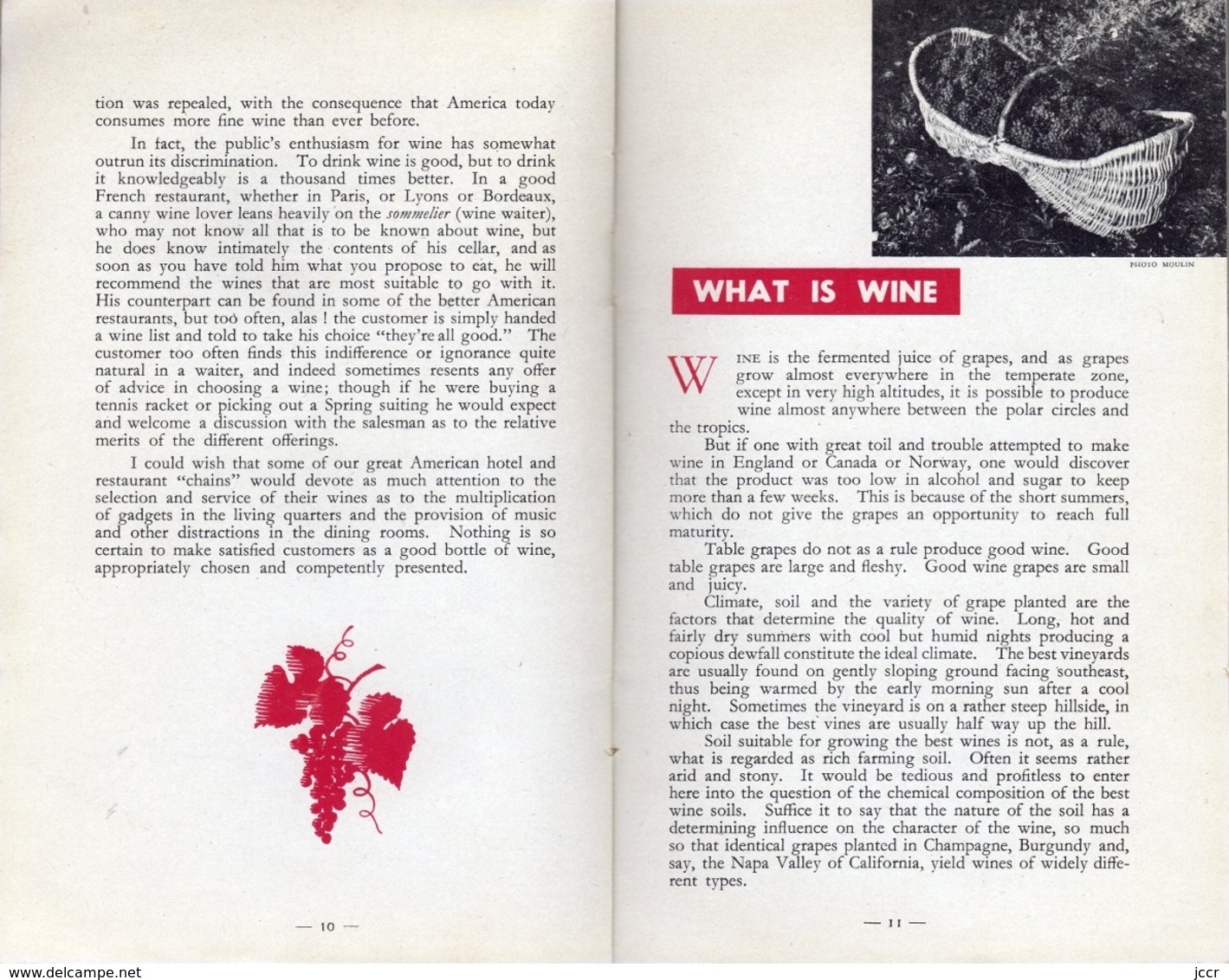 A Practical Guide for the Cellarman Wine-Butler and Connoisseur - French Wines by William Bird - 1955