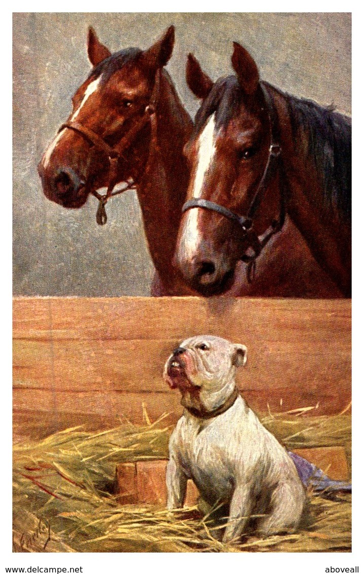 Dog And Horses In Barn , Artist Signed - Dogs