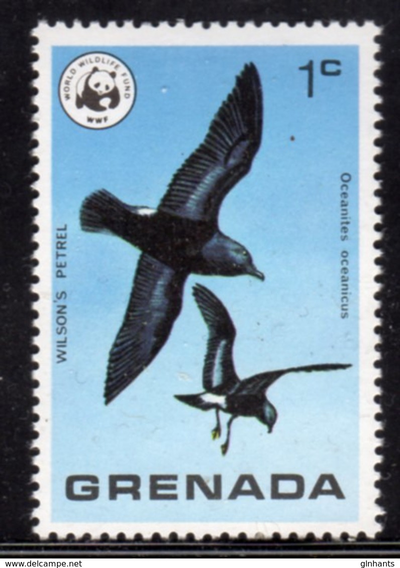 GRENADA - 1978 1c WILSON'S PETREL BIRD STAMP FINE MNH ** SG 923 - Grenada (1974-...)