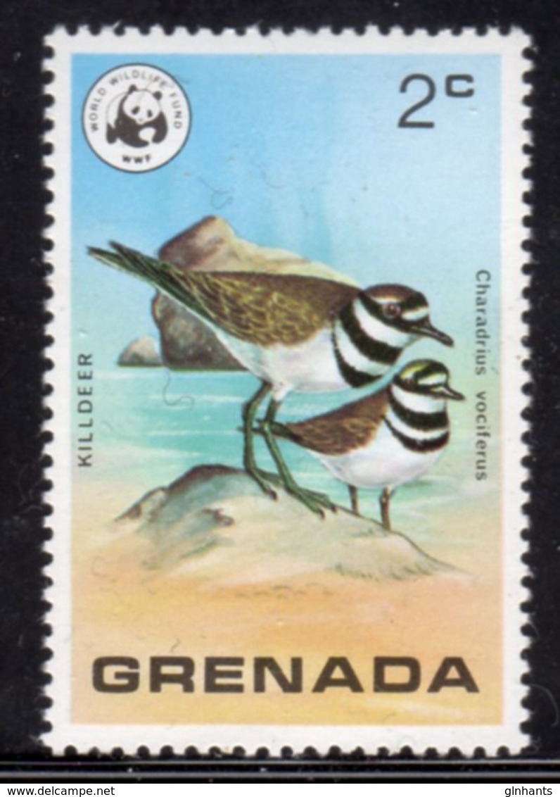 GRENADA - 1978 2c KILLDEER BIRD STAMP FINE MNH ** SG 924 - Grenada (1974-...)